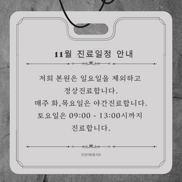  [진료일정] 11월 진료일정 안내