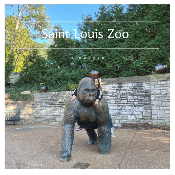 세인트루이스 동물원 미국 미주리 여행 | St.Louis Zoo