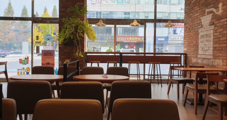  매일 한 줄 일기쓰기 - 11.04 (가을비, 오늘의 필사)