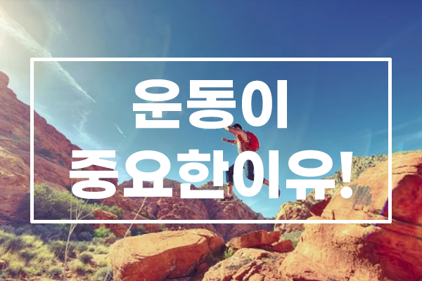  건강을 유지하기 위한 삶, 운동이 중요한이유