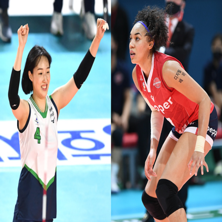 여자배구 현대건설 페퍼저축은행 11월5일 경기예상(황연주 고예림 양효진 엘리자벳 박은서 하혜진)