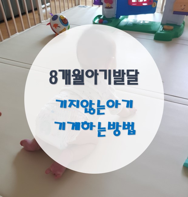 8개월 아기 발달 / 기지 않는 아기 연습 방법 / 아기 윗니 나는 시기