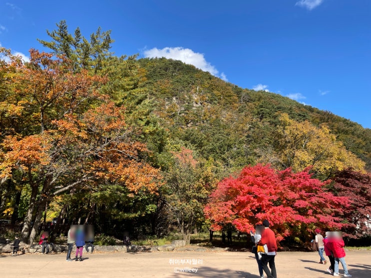 설악산 케이블카 이용요금/운행시간 및 권금성 단풍구경