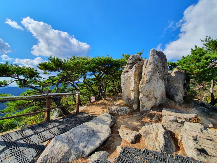 팔공산 등산코스 - 수태골, 비로봉(정상), 동봉, 철탑삼거리, 낙타봉, 케이블카 하산(대중교통 이용하기)