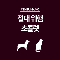  반려동물! 절대 위험 초콜렛