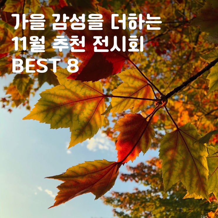 전시회 가을에 다녀오기 좋은 11월 추천 전시회 BEST 8