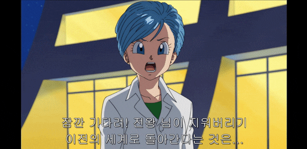  드래곤볼 부르마의 원조 성우 츠루 히로미에 대해서