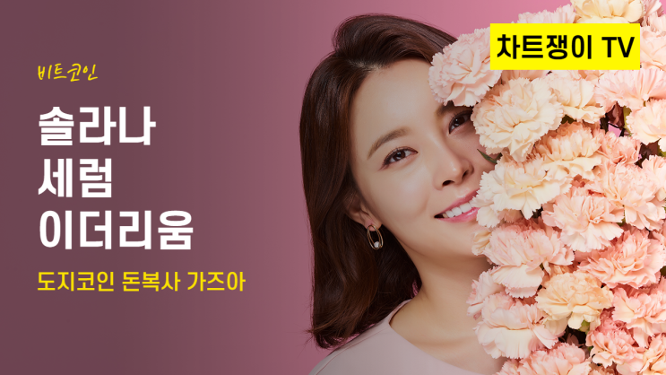  동영상) 비트코인 솔라나 세럼 도지 이더리움 시세 분석