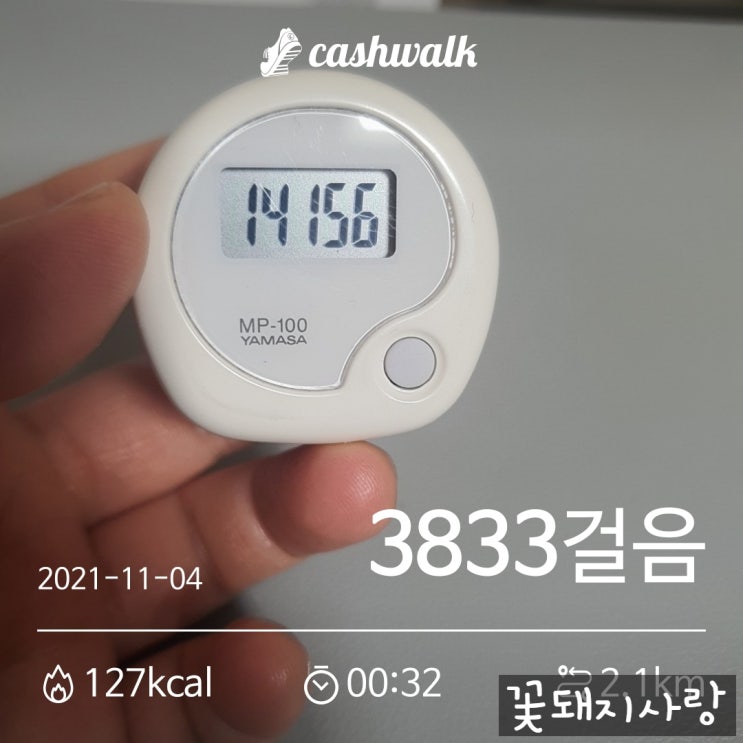  D+87 삼겹살에서 목살로