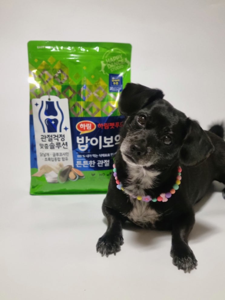 강아지사료 하림펫푸드 강아지 관절사료 밥이 보약 급여 후기 강아지사료 하림펫푸드 강아지 관절사료 밥이 보약 급여 후기