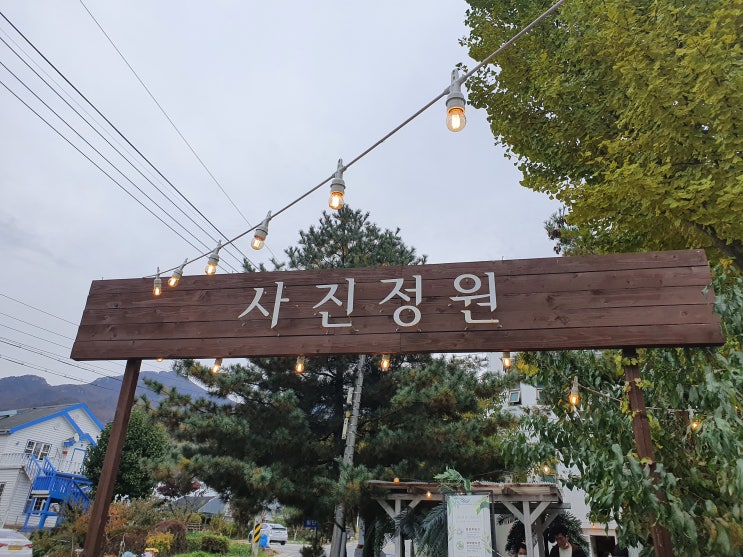  원주 핑크뮬리가 가득했던 예쁜카페 사진정원