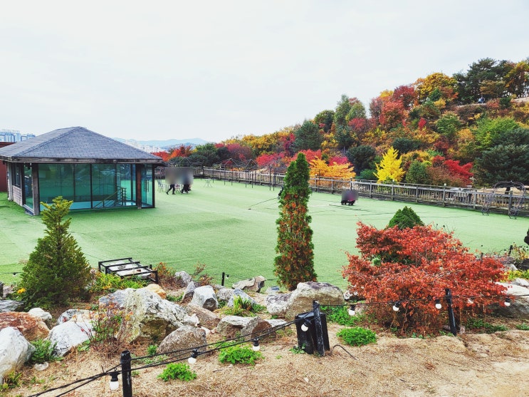  서울 근교 갈만한 곳 / 경기도 가볼 만한 곳 남양주 별내 카페 산들소리수목원 산들제빵소