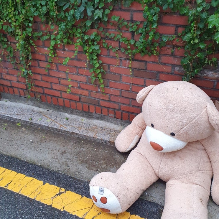  제2장. D-결혼?