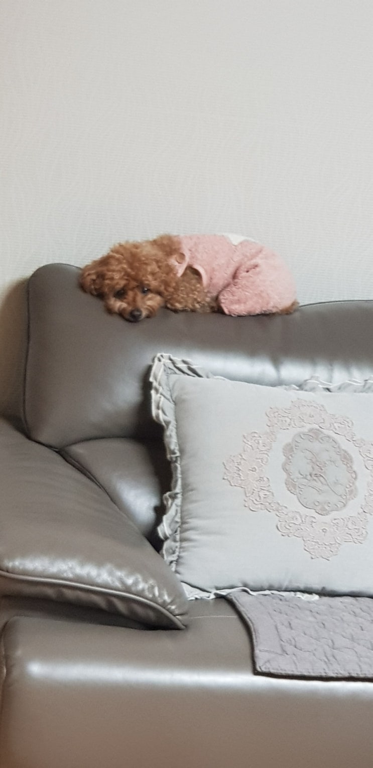  삐진콩이~