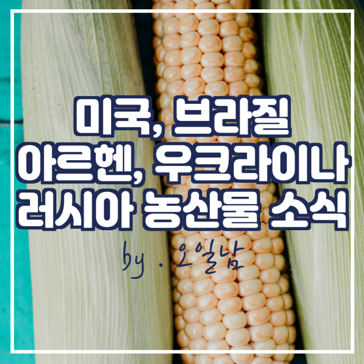  미국, 브라질, 아르헨티나, 우크라이나, 러시아 농산물 소식