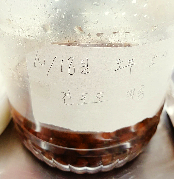  천연발효종 건포도 액종을 만들어 보아요