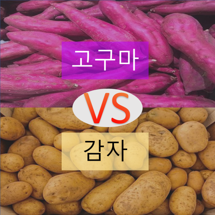  [다이어트 팁] 고구마 VS 감자 다이어트에 유리한 음식은?(GI지수,GL지수)