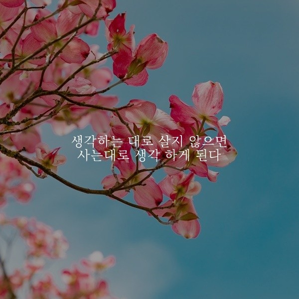  부거사이 [부동산 뉴스와 블로그] 11월 5일(금)