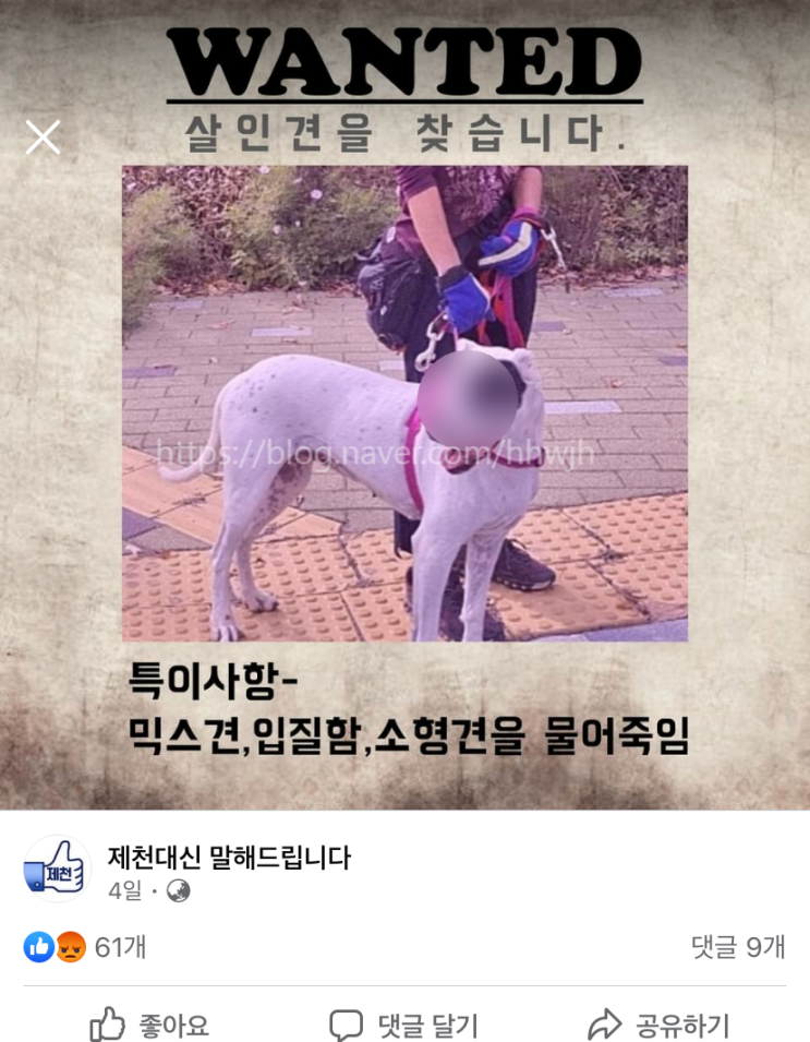 궁금한이야기Y 충북 제천 살인견  친구 부부와 동거한 남자 7년간 감금되었다