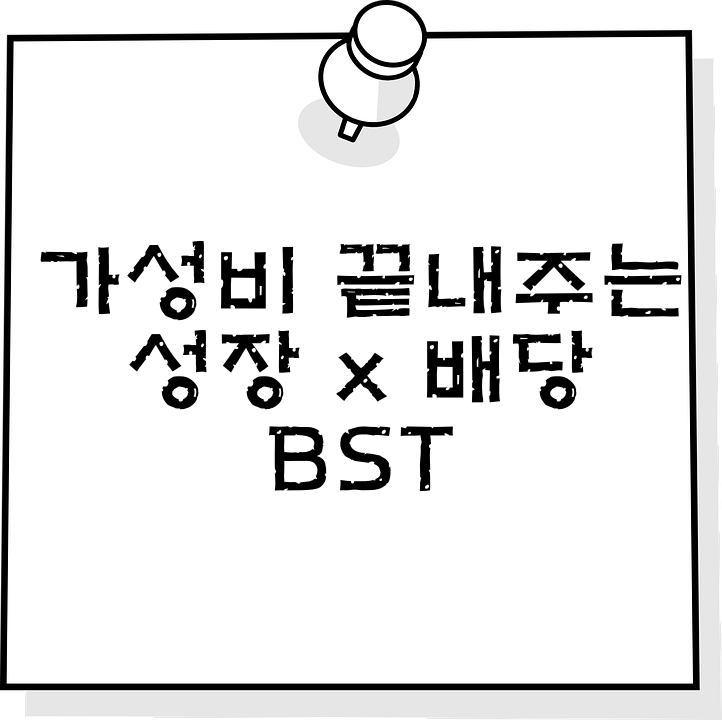  [미국 ETF] 수익률과 고배당을 동시에? " BST "