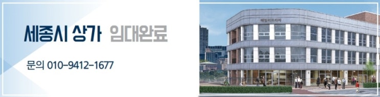  세종시상가 분양 안내입니다