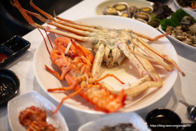  노량진수산시장맛집::대게시세 살수율보장 물결수산