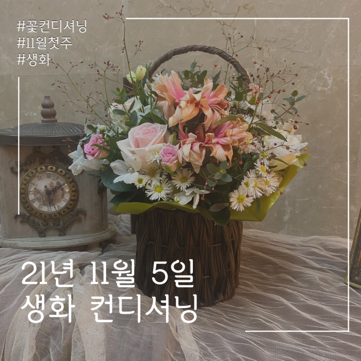  21년 11월 5일 생화 컨디셔닝! 꽃정리