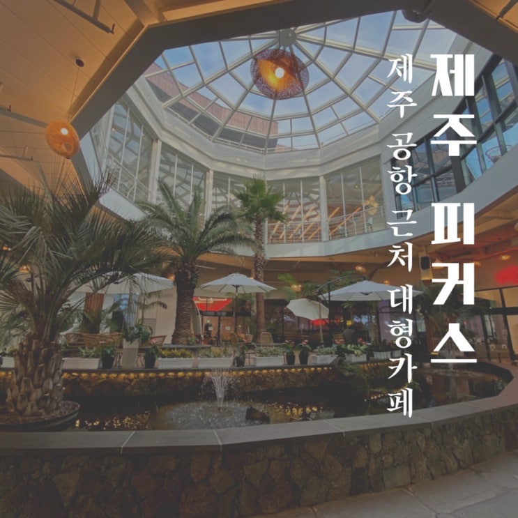  제주 피커스 pickus 싱싱싱 롤러장 있는 제주공항 근처 대형 카페