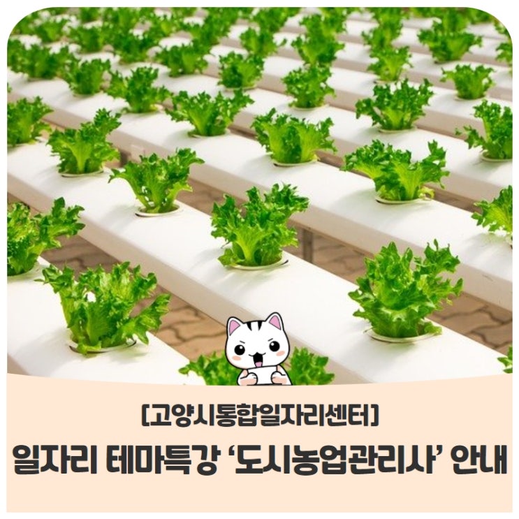고양시통합일자리센터일자리 테마특강 '도시농업관리사' 참여자 모집 안내(~11/16) 고양시통합일자리센터일자리 테마특강 '도시농업관리사' 참여자 모집 안내(~11/16)