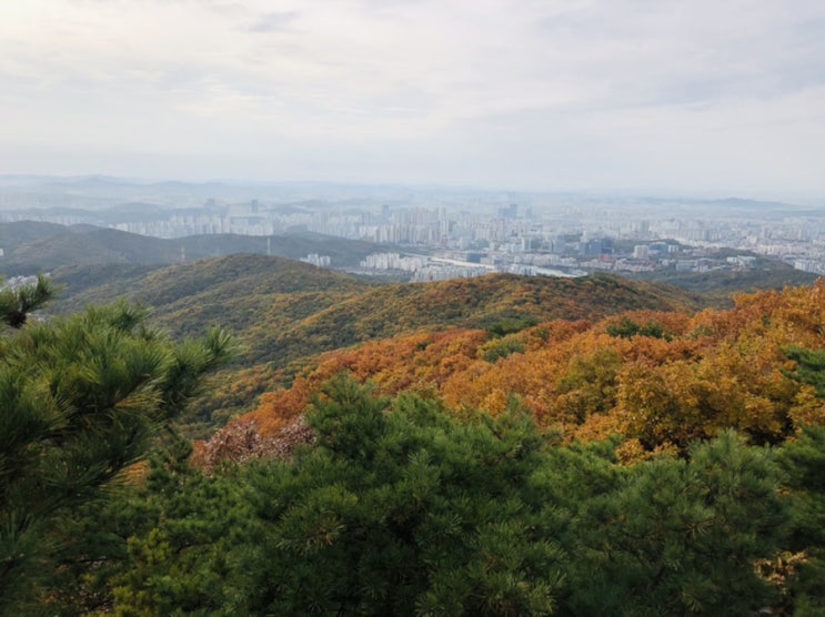  주말 광교산 단풍 절정 (성복동 장수촌 입구-형제봉-비로봉)