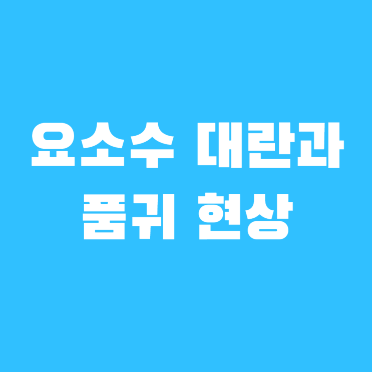  디젤 요소수 대란으로 발생하는 품귀 현상과 해결 방안을 알아보자