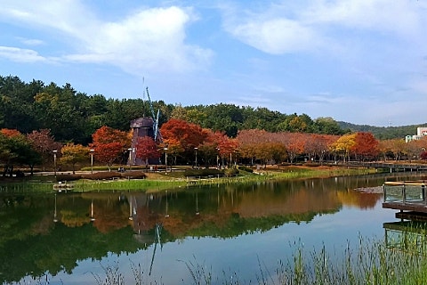 동화부산사무소 이미지