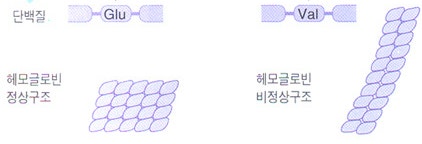  4-4. 유전자 이상 유전병