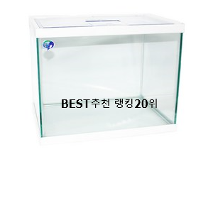  인생템 애완물고기 사는곳 공유 인기 가성비 순위 20위
