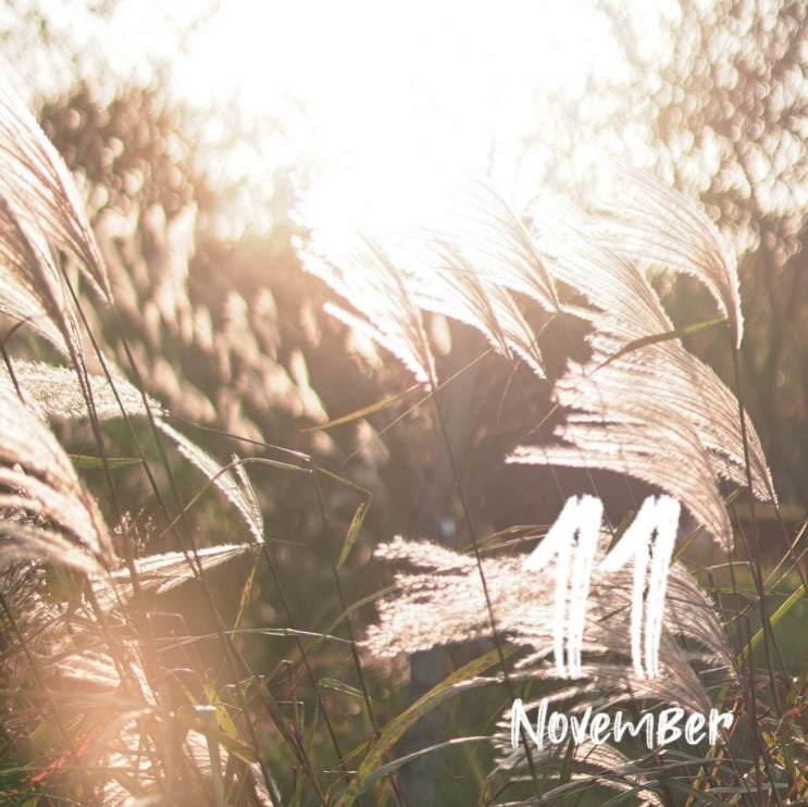  Hello November