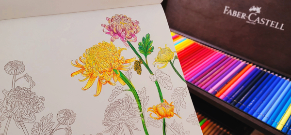 [컬러링북] 예쁜 컬러링북, 꽃 채색하기