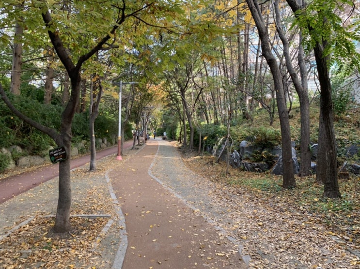 숲세권에 살아서 좋은 가을 숲세권에 살아서 좋은 가을