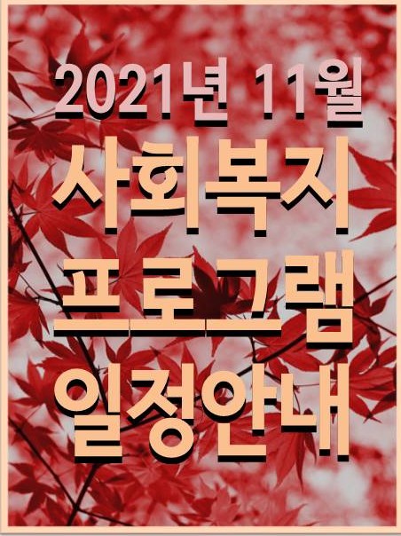  [초록나무요양병원] 11월 사회복지 프로그램 일정안내