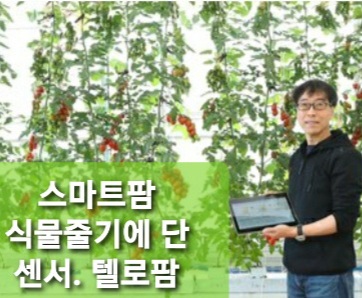  [연중 기획 혁신창업의 길] 식물 줄기에 단 센서, 집앞 텃밭을 스마트 농장으로