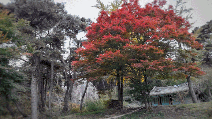  경주 동남산 가을 정취 가득한 명소 3곳 현재 상황