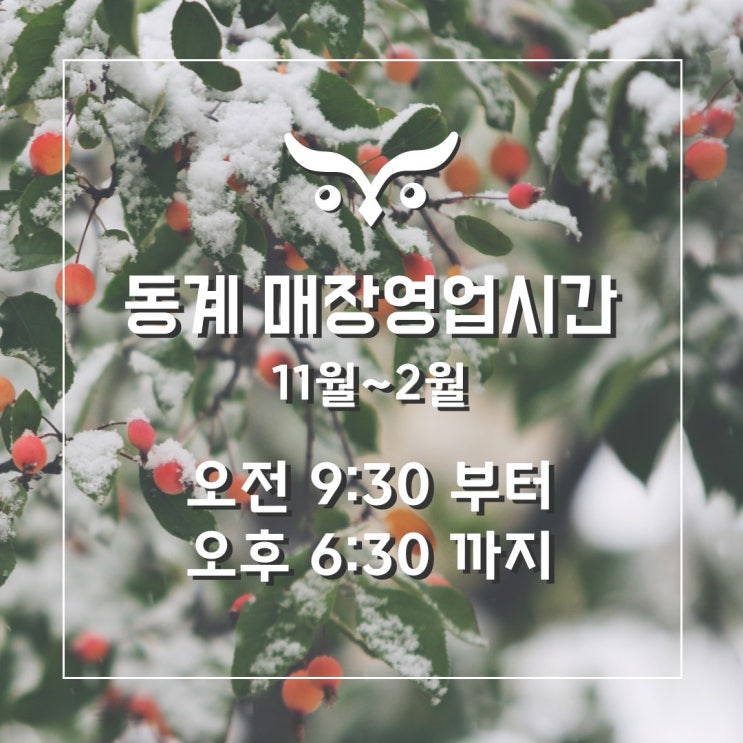  [부엉이조명] 동계매장영업시간 안내(11~2월)