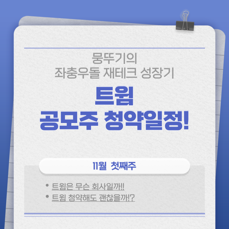  트윔 공모주 청약일정(AI? 뭐 하는 기업이지?)