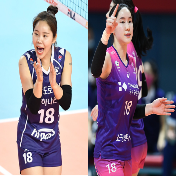 여자배구 도로공사 흥국생명 11월6일 경기예상(켈시 박정아 전새얀 캣벨 이주아 김미연)