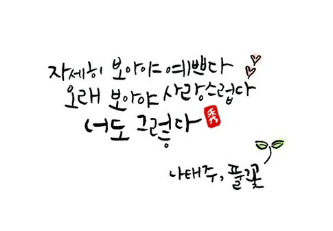 나태주 시인의 시집 <꽃을 보듯 너를 본다>를 구입하였다. 나태주 시인의 시집 <꽃을 보듯 너를 본다>를 구입하였다.