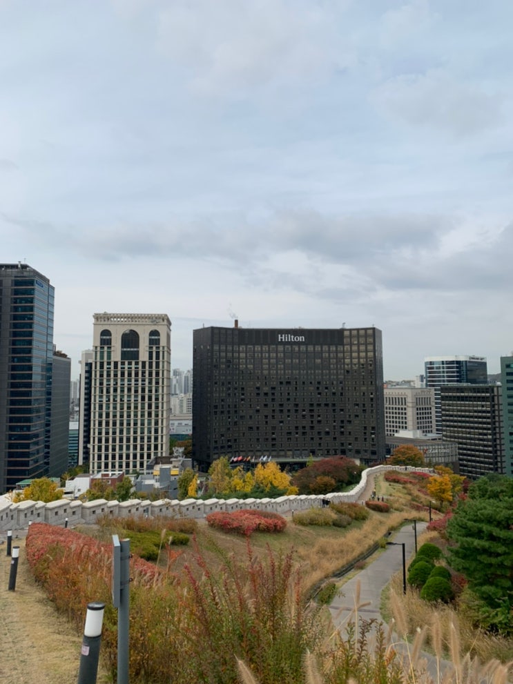 서울로 - 백범광장 - 남산으로 이어지는 단풍구경
