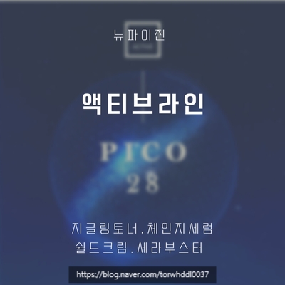  액티브라인
