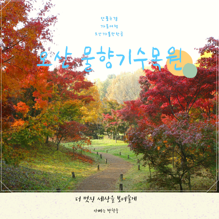 오산 물향기수목원에서 가을 단풍 숲을 거닐다 오산 물향기수목원에서 가을 단풍 숲을 거닐다