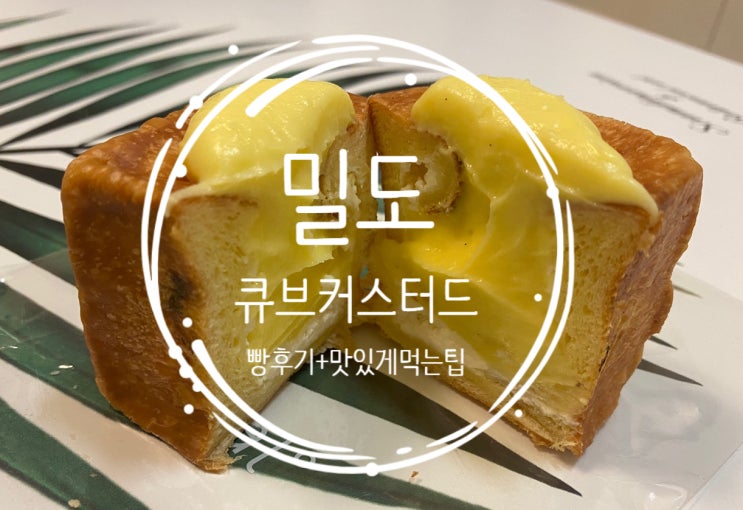 [잠실새내 빵지순례] 밀도 큐브커스터드 후기(feat.맛있게 먹는 방법)