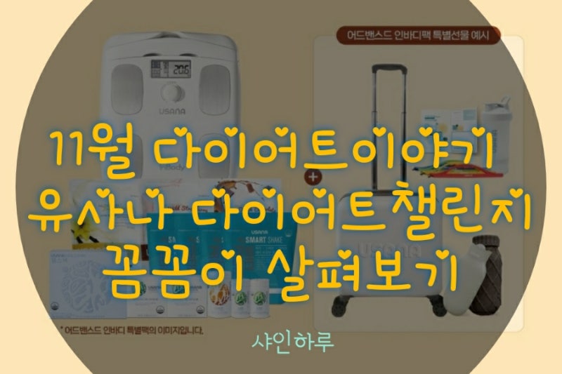 11월 다이어트이야기 - 유사나 다이어트 챌린지 가 뭐에요?(feat 패키지 구성 상세 분석)