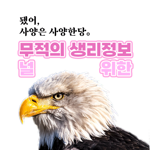  생리 한달에 두번, 생리량 과다했던 이유